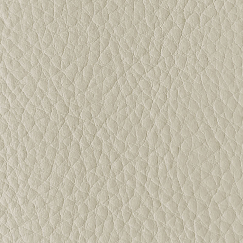 Sahara
