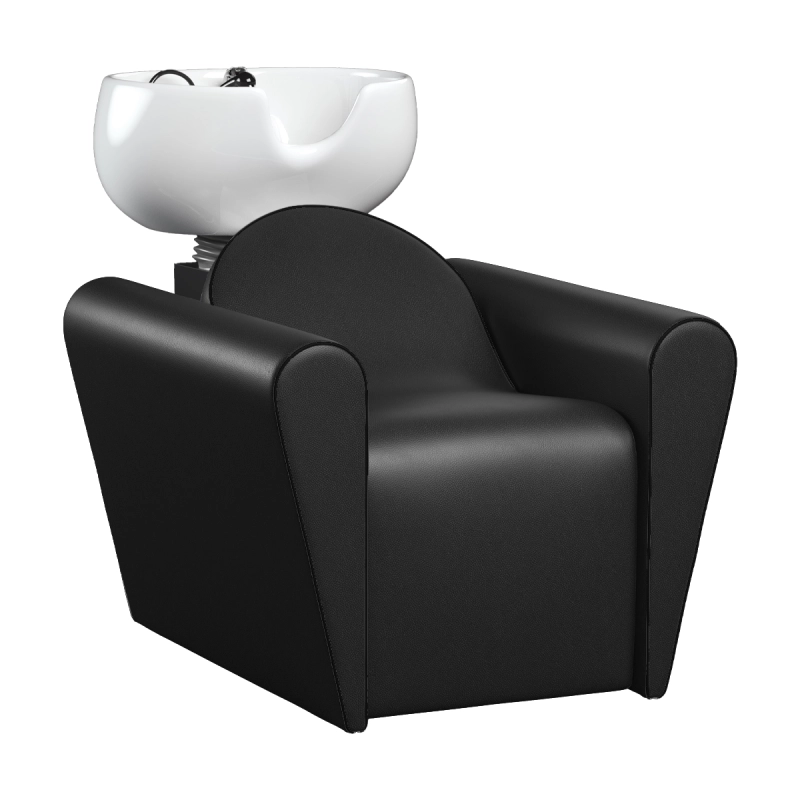 Lavatesta per Parrucchieri Blueswash Black Basic