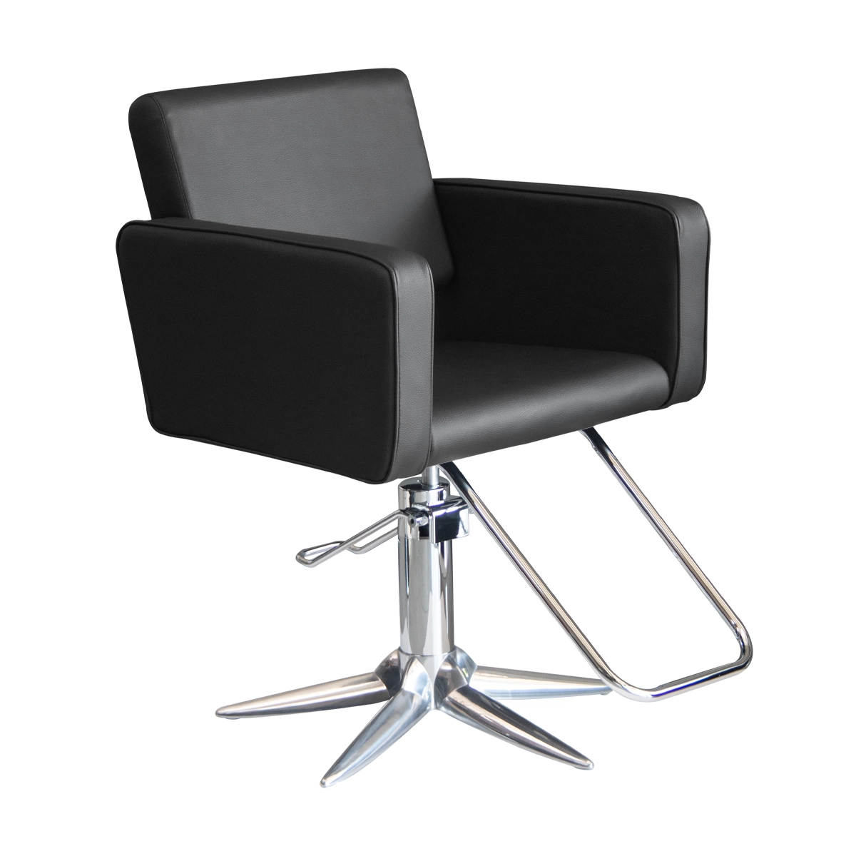 Salon Styling Chair Deepblack Parrot  